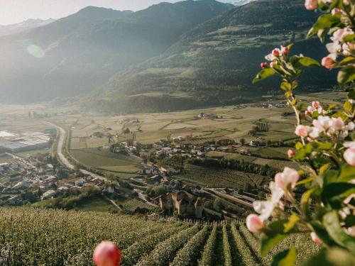 Opening Special -25% Opening Special -25%