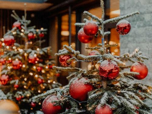 Vorweihnachts-Zeit -25% Vorweihnachts-Zeit -25%